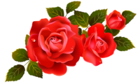 زهرة الإبداع و الفكر